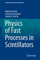 Mikhai Korzhik, Mikhail Korzhik, Gintauta Tamulaitis, Gintautas Tamulaitis, A Vasil'ev, Andrey N. Vasil'ev - Physics of Fast Processes in Scintillators