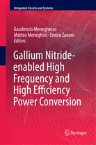 Gaudenzio Meneghesso, Matte Meneghini, Matteo Meneghini, Enrico Zanoni - Gallium Nitride-enabled High Frequency and High Efficiency Power Conversion