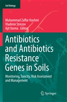 Muhammad Zaffar Hashmi, Vladimi Strezov, Vladimir Strezov, Ajit Varma - Antibiotics and Antibiotics Resistance Genes in Soils