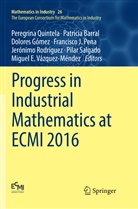 Patrici Barral, Patricia Barral, Dolores Gómez, Dolores Gómez et al, Francisco J. Pena, Peregrina Quintela... - Progress in Industrial Mathematics at ECMI 2016