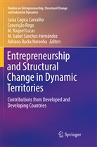 Luísa Cagica Carvalho, M. Raquel Lucas, M.Raquel Lucas, Adriana Backx Noronha, M Raquel Lucas et al, Conceiçã Rego... - Entrepreneurship and Structural Change in Dynamic Territories