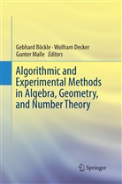 Gebhard Böckle, Wolfra Decker, Wolfram Decker, Gunter Malle - Algorithmic and Experimental Methods  in Algebra, Geometry, and Number Theory