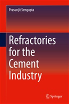 Prasunjit Sengupta - Refractories for the Cement Industry