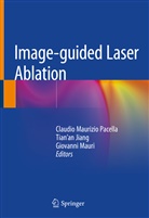 Tian'a Jiang, Tian'an Jiang, Giovanni Mauri, Claudio Maurizio Pacella - Image-guided Laser Ablation