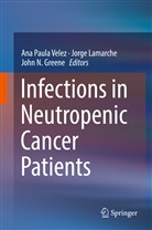 John N. Greene, Jorg Lamarche, Jorge Lamarche, John N Greene, Ana Paula Velez - Infections in Neutropenic Cancer Patients