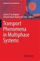 Antonio Gilson Barbosa de Lima, João M. P. Q. Delgado, João M.P.Q. Delgado, Gilson Barbosa de Lima, Gilson Barbosa de Lima, Joã M P Q Delgado... - Transport Phenomena in Multiphase Systems