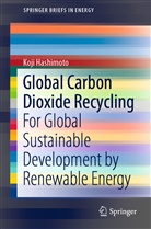 Koji Hashimoto - Global Carbon Dioxide Recycling