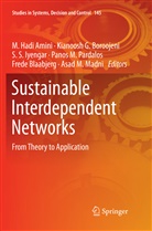 M. Hadi Amini, Frede Blaabjerg, Kianoosh G. Boroojeni, Kianoos G Boroojeni, Kianoosh G Boroojeni, S. S. Iyengar... - Sustainable Interdependent Networks
