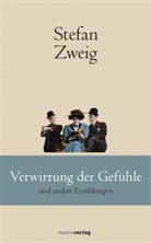 Stefan Zweig - Verwirrung der Gefühle