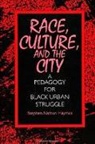 Stephen Nathan Haymes - Race, Culture, and the City
