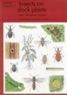 David Salt, David T Salt, David T. Salt, John Whittaker, John B Whittaker, John B. Whittaker... - Insects on dock plants