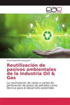 Arnul David Paz Aranguren - Reutilización de pasivos ambientales de la Industria Oíl & Gas