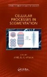 Ariel Chipman, Ariel D. Chipman, Ariel Chipman - Cellular Processes in Segmentation