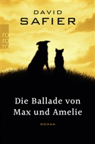 David Safier - Die Ballade von Max und Amelie