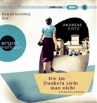 Andreas Götz, Richard Barenberg - Die im Dunkeln sieht man nicht, 2 MP3-CDs (Audio book)