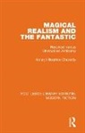 Amaryll Beatrice Chanady - Magical Realism and the Fantastic