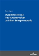 Petra Aigner - Multidimensionale Betrachtungsweisen zu Ethnic Entrepreneurship