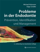 Michae Hülsmann, Michael Hülsmann, Edgar Schäfer - Probleme in der Endodontie
