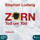 Ludwig, Stephan Ludwig, David Nathan - Zorn 9 - Tod um Tod, 2 Audio-CD, MP3 (Hörbuch)