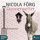 Förg, Nicola Förg, Hans Jürgen Stockerl - Donnerwetter, 1 Audio-CD, MP3 (Audio book)