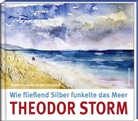 Hans-Jürgen Gaudeck, Theodo Storm, Theodor Storm, Hans-Jürgen Gaudeck - Wie fließend Silber funkelte das Meer