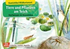 Katharina Stöckl, Katharina Stöckl-Bauer, Monika Klars - Tiere und Pflanzen am Teich. Kamishibai Bildkartenset