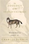 Charles Darwin, George R. Waterhouse - Mammalia - Part II - The Zoology of the Voyage of H.M.S Beagle