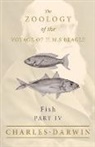 Charles Darwin, Leonard Jenyns - Fish - Part IV - The Zoology of the Voyage of H.M.S Beagle