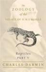 Thomas Bell, Charles Darwin - Reptiles - Part V - The Zoology of the Voyage of H.M.S Beagle