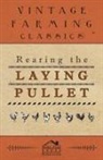 Anon. - Rearing the Laying Pullet