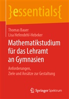 Thoma Bauer, Thomas Bauer, Lisa Hefendehl-Hebeker - Mathematikstudium für das Lehramt an Gymnasien