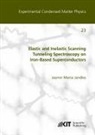 Jasmin Maria Jandke - Elastic and Inelastic Scanning Tunneling Spectroscopy on Iron-Based Superconductors