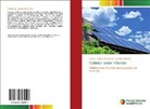 Wagner Cherobin, Suelem Vieira dos Santos - Coletor solar híbrido