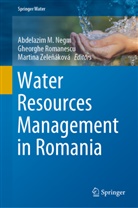 Abdelazim M Negm, Abdelazim M. Negm, Gheorgh Romanescu, Gheorghe Romanescu, Martina Zele¿áková, Martina Zeleáková... - Water Resources Management in Romania