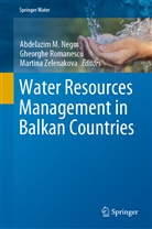 Abdelazim M Negm, Abdelazim M. Negm, Gheorgh Romanescu, Gheorghe Romanescu, Martina Zelenakova - Water Resources Management in Balkan Countries