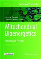 J Moreno, J Moreno, Carlo M Palmeira, Carlos M Palmeira, Antonio J. Moreno, António J. Moreno... - Mitochondrial Bioenergetics