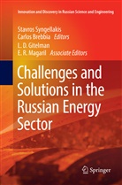 BREBBIA, Brebbia, Carlos Brebbia, Stavro Syngellakis, Stavros Syngellakis - Challenges and Solutions in the Russian Energy Sector