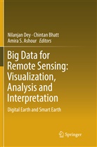 Amira S. Ashour, Chinta Bhatt, Chintan Bhatt, Nilanjan Dey, Amira S Ashour - Big Data for Remote Sensing: Visualization, Analysis and Interpretation