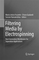Maria Letizia Focarete, Chiar Gualandi, Chiara Gualandi, Seeram Ramakrishna - Filtering Media by Electrospinning