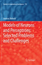 Andrzej Bielecki - Models of Neurons and Perceptrons: Selected Problems and Challenges