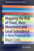 Juan Carlos Mora Chaparro - Mapping the Risk of Flood, Mass Movement and Local Subsidence