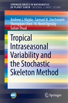 Shengqia Chen, Shengqian Chen, Andrew Majda, Andrew J Majda, Andrew J. Majda, H. Reed Ogrosky... - Tropical Intraseasonal Variability and the Stochastic Skeleton Method