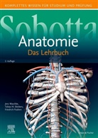 Katja Dalkowski, Sonja Klebe, Jörg Mair, Stephan Winkler, Tobias M. Böckers, Tobia M Böckers... - Sobotta Anatomie - Das Lehrbuch