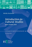 Aleida Assmann, Aleida (Prof. Dr.) Assmann - Introduction to Cultural Studies