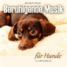 Electric Air Project, Thomas Vietze - Beruhigende Musik für Hunde, 1 Audio-CD (Audio book)