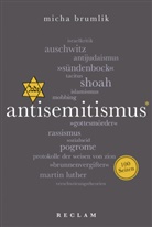 Micha Brumlik - Antisemitismus