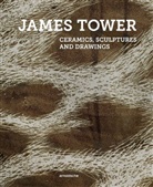 Tany Harrod, Tanya Harrod, Lesle Jackson, Lesley Jackson, Conor Wilson, Timoth Wilcox... - James Tower Ceramics Sculptures and Drawings