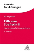 Eric Hilgendorf, Eric (Dr. Dr.) Hilgendorf - Fälle zum Strafrecht II