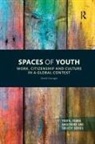 David Farrugia, David (University of Newcastle Farrugia - Spaces of Youth