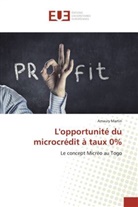 Amaury Martin - L'opportunité du microcrédit à taux 0%